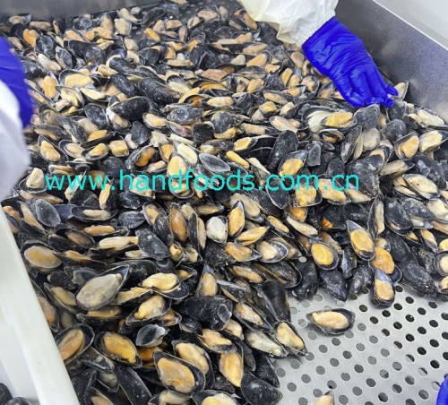 Frozen Cooked Half-Shell Blue Mussel