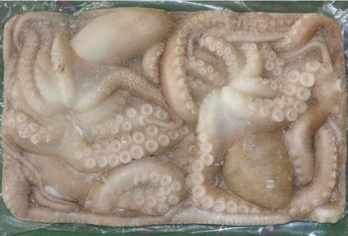 Frozen Octopus