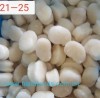 Frozen Pan Shell Scallop Meat