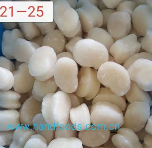 Frozen Pan Shell Scallop Meat