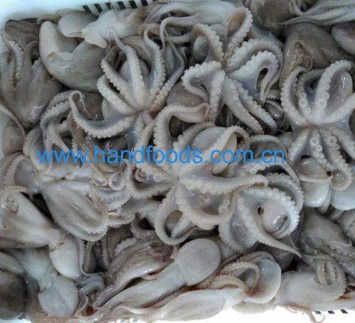 Frozen Cleaned Baby Octopus