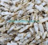 Razor Clam Meat