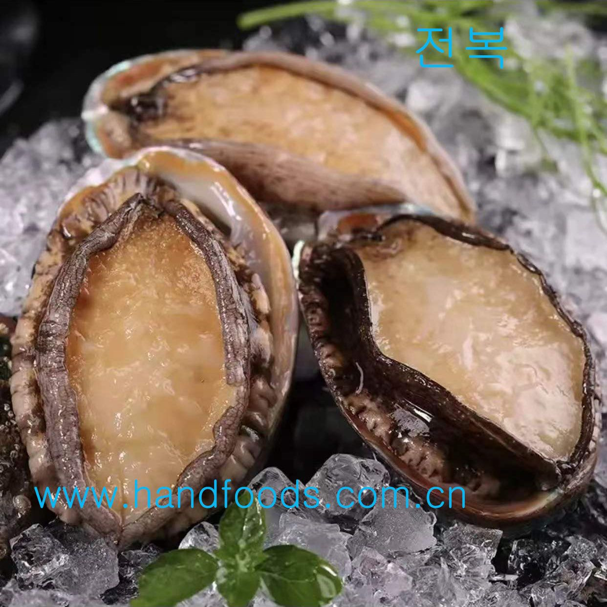 Frozen Cooked Abalone