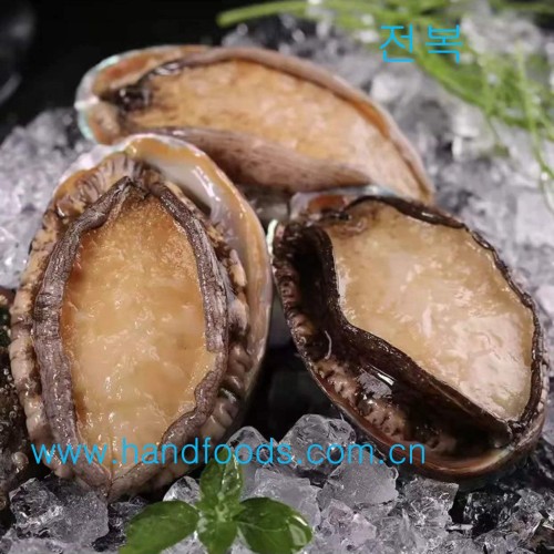 Frozen Cooked Abalone