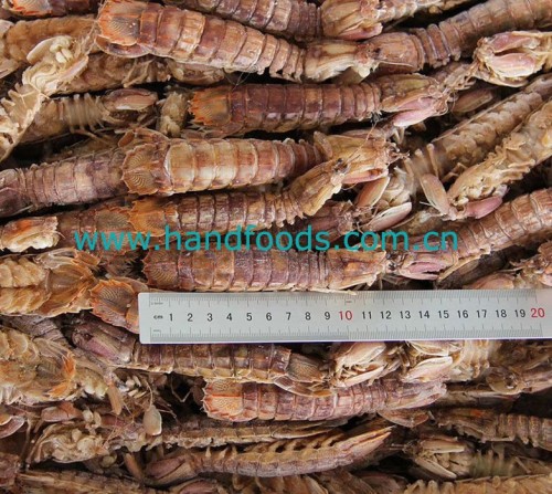 Frozen Cooked Mantis Shrimp