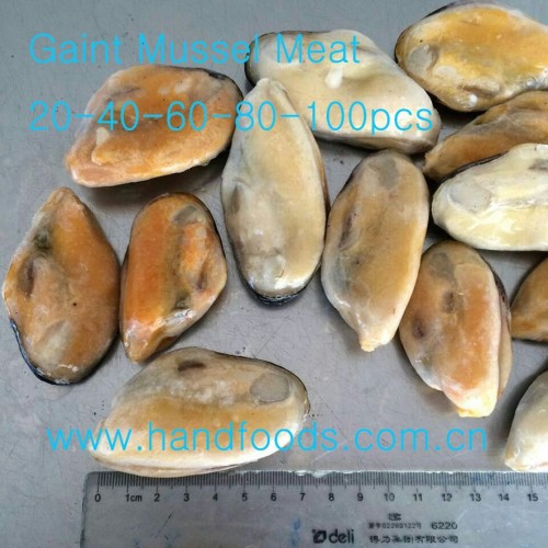 Frozen Cooked Gaint Blue Mussel Meat