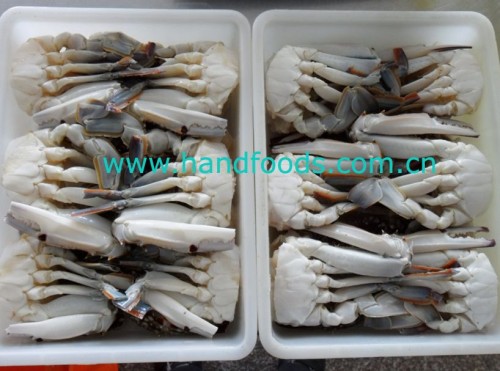 Frozen Half Cut Blue Swimming Crab